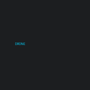 DJI Neo